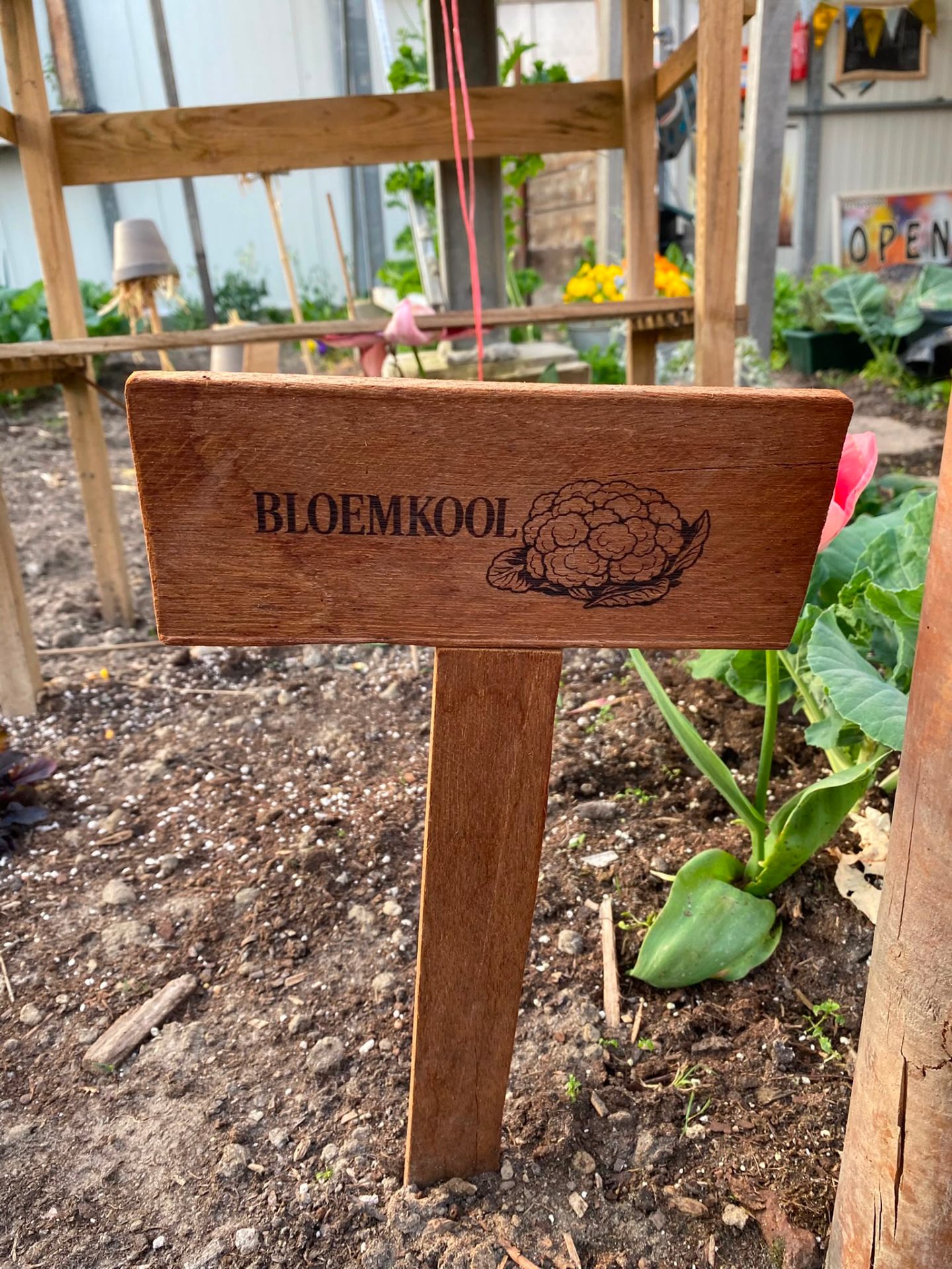Handgemaakt bordje: Bloemkool