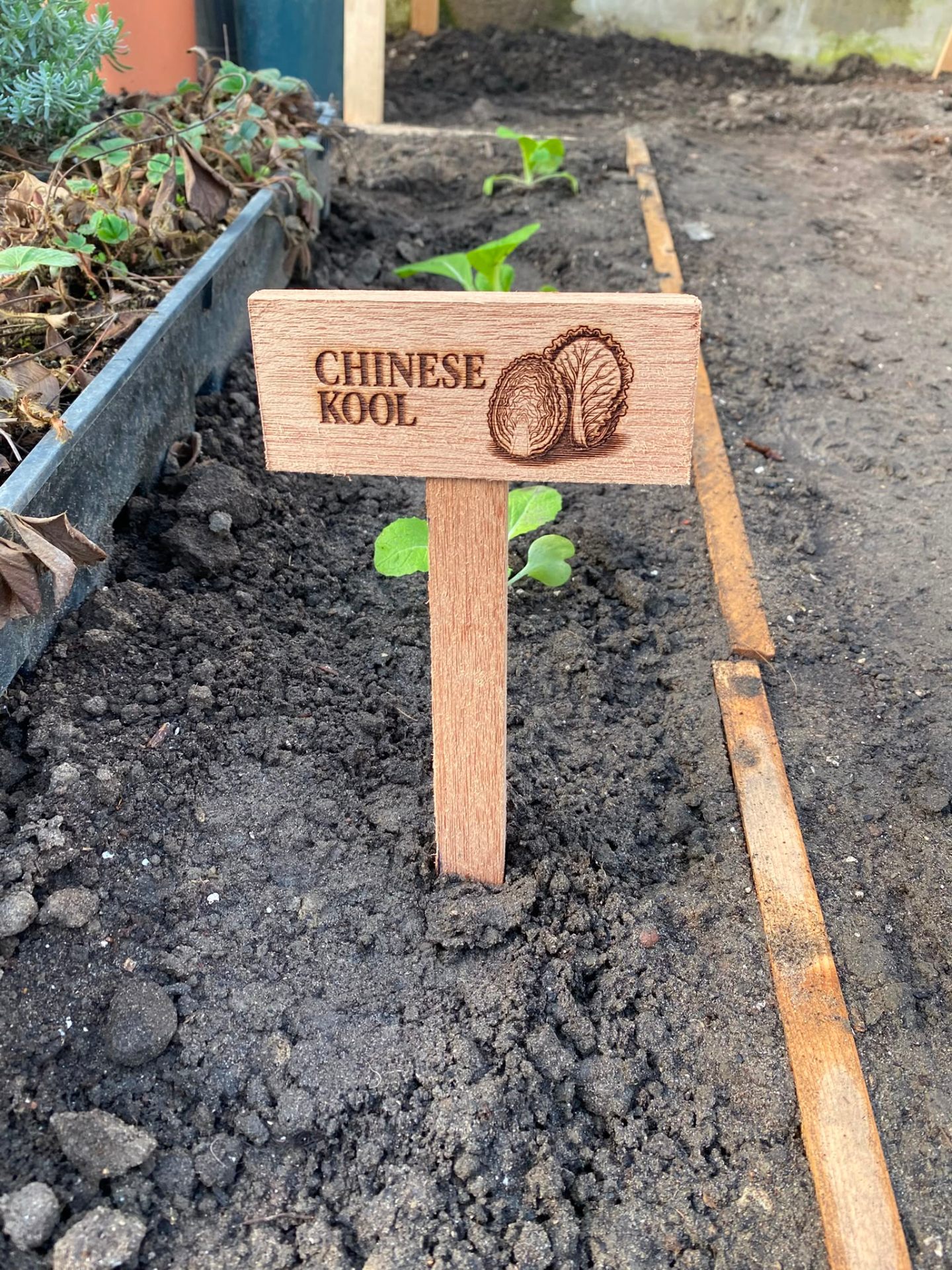 Handgemaakt bordje: Chinese Kool
