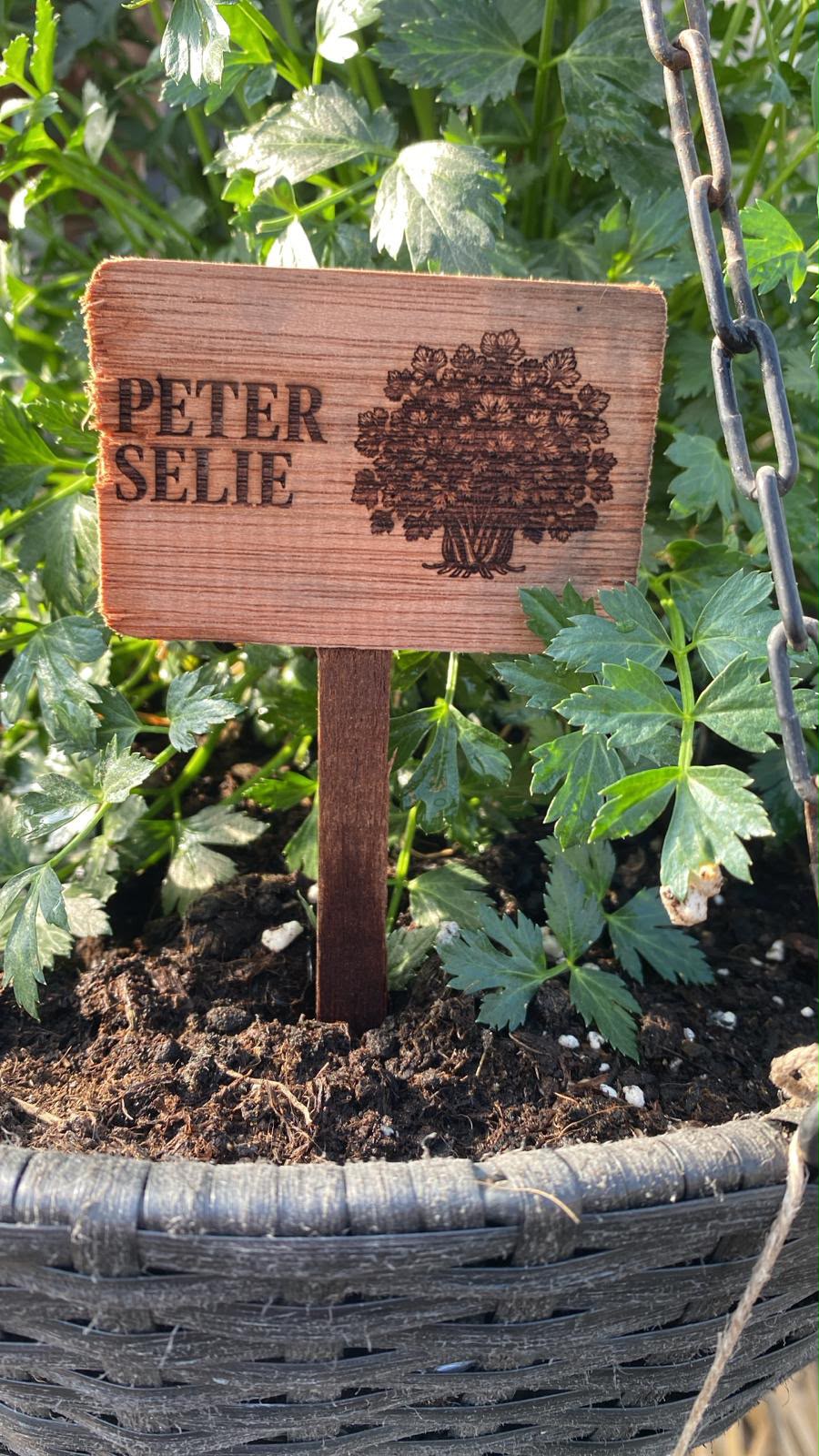 Handgemaakt bordje: Peterselie